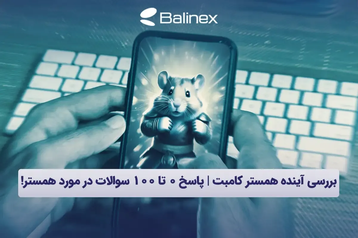 بررسی آینده همستر کامبت | آیا قیمت همستر رشد خواهد کرد؟