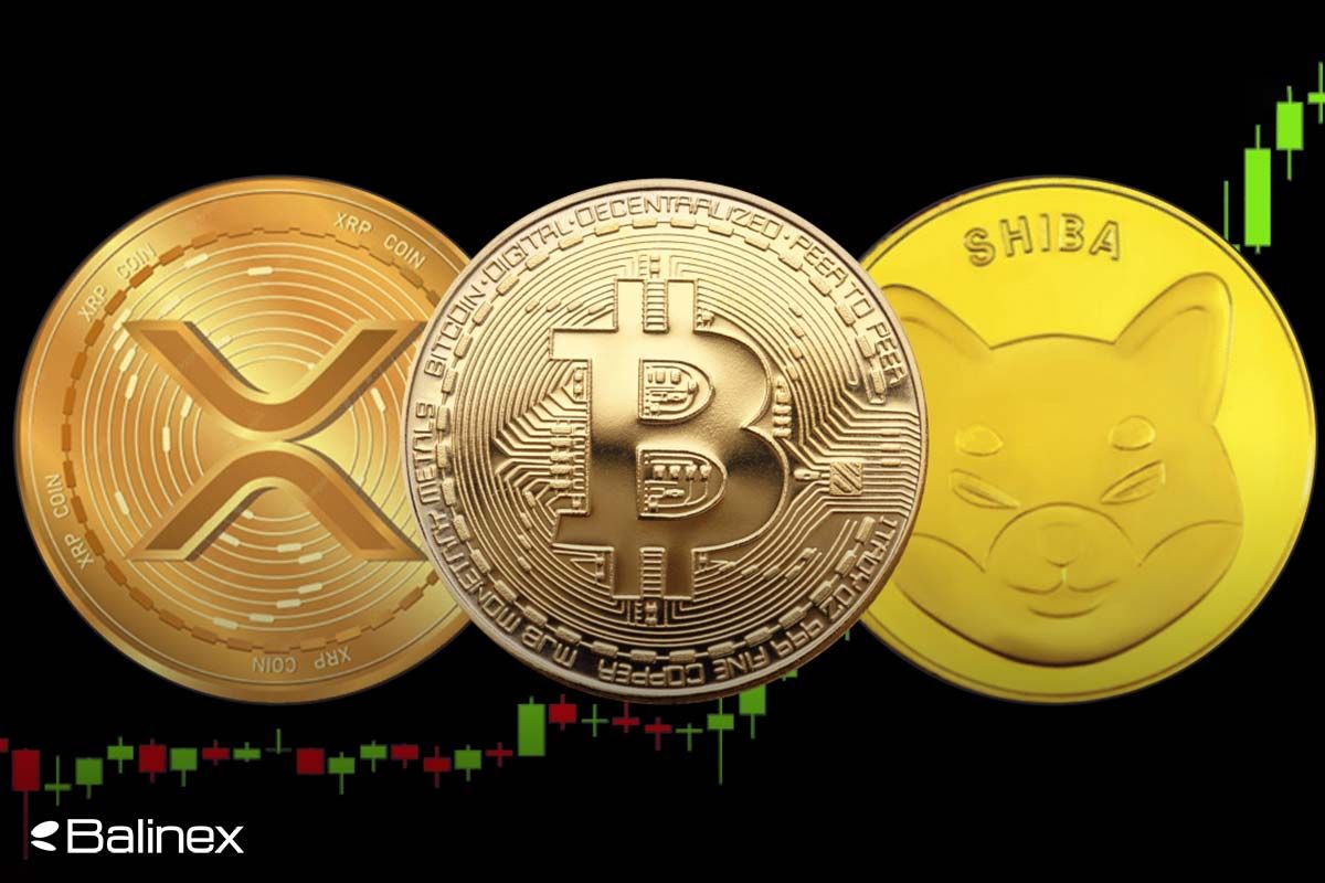 تحلیل تکنیکال بیت کوین، ریپل و شیبا امروز ۱۹ مرداد
