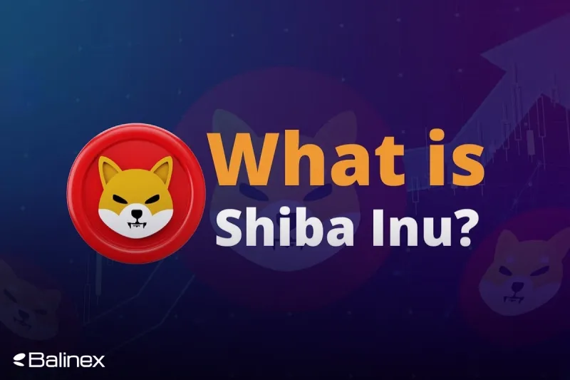 شیبا چگونه کار می کند؟ بررسی کامل میم کوین پرطرفدار SHIB!