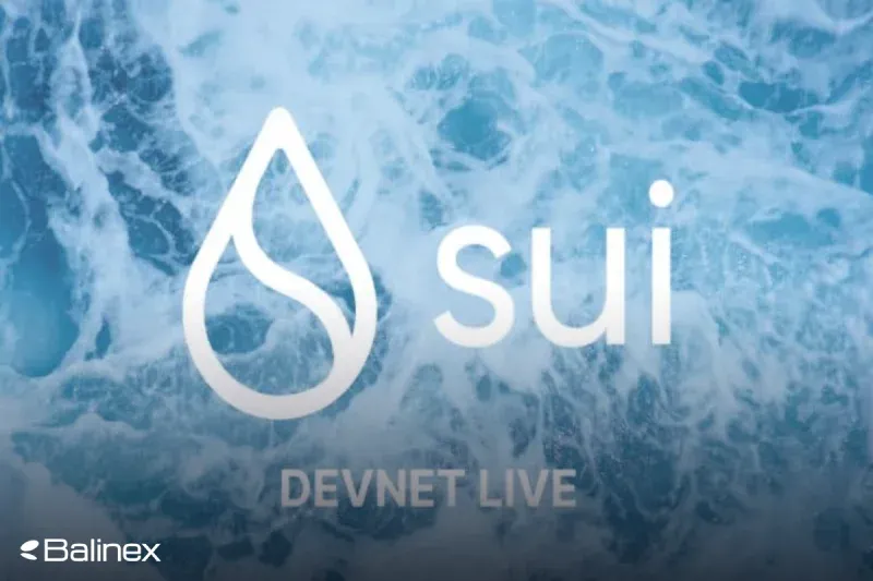 آینده قیمت سویی (SUI) | پیش بینی قیمت سویی تا سال 2030