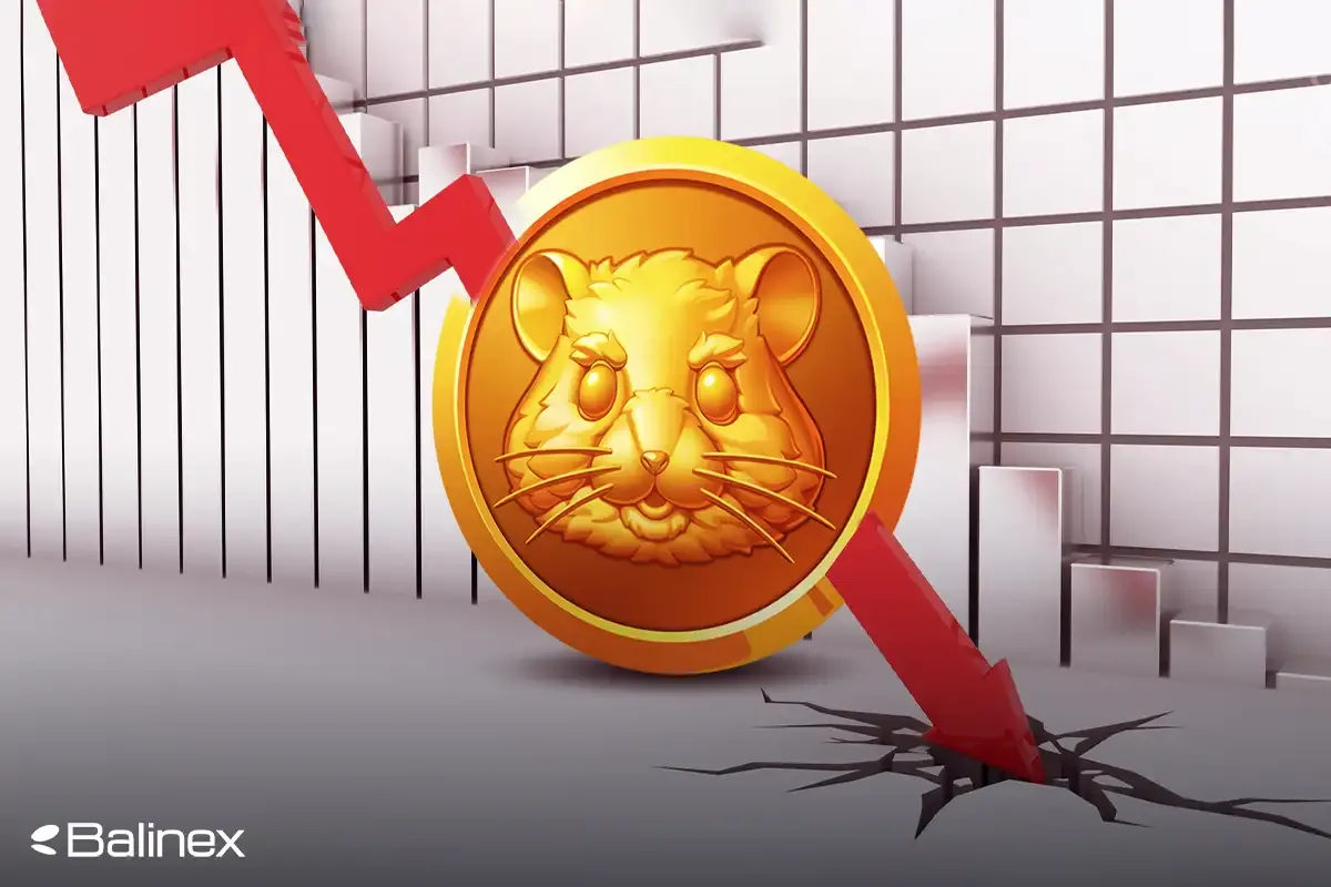 قیمت همستر کامبت به نفت رسید! تحلیل قیمت همستر امروز 9 مهر