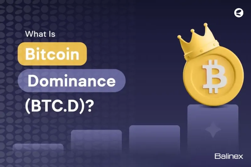 دامیننس بیت کوین چیست؟ آموزش کسب سود از BTC.D