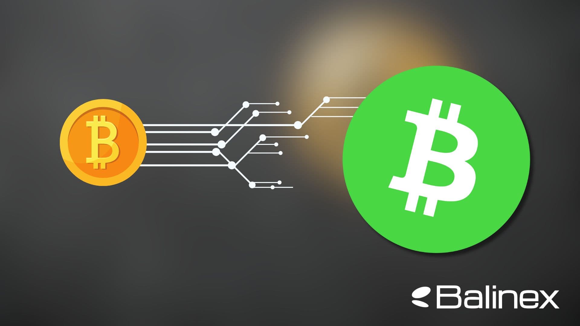 چه عواملی قیمت بیت کوین کش را تعیین می‌کند؟