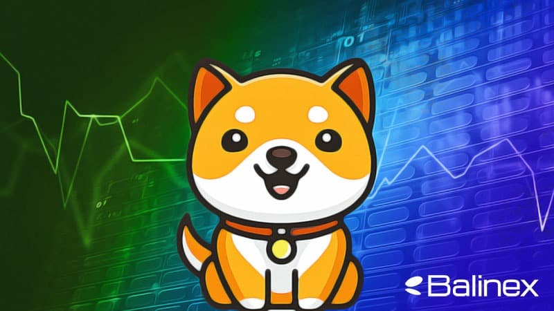 پیش بینی قیمت بیبی دوج