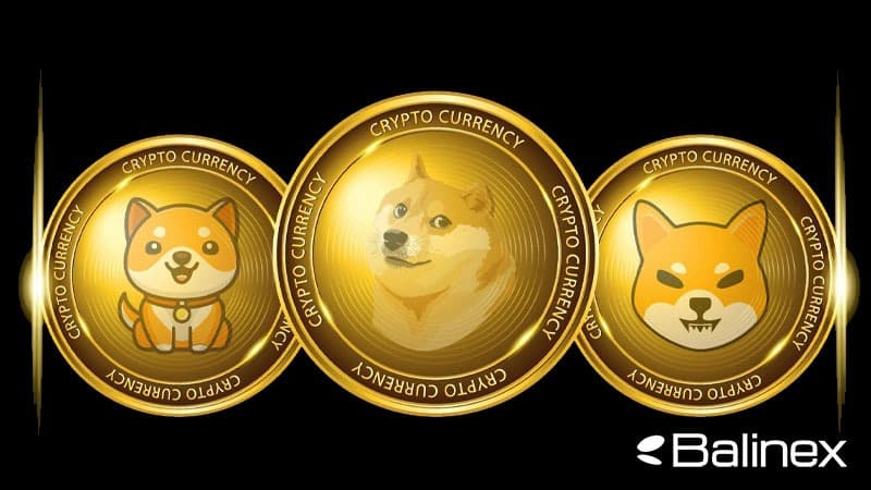 مقایسه BABYDOGE با سایر رقبا