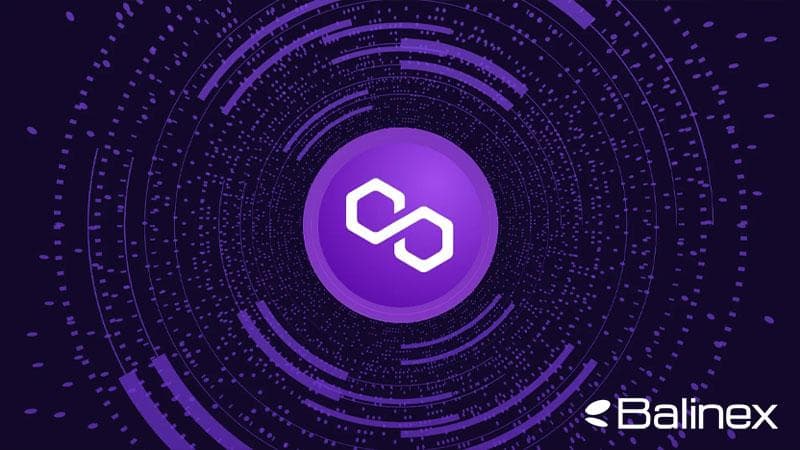 پالیگان چطور کار می کند