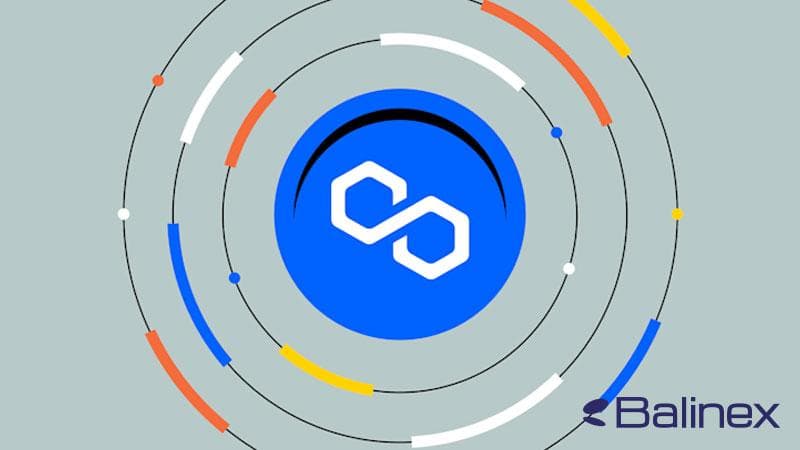 پالیگان چیست؟