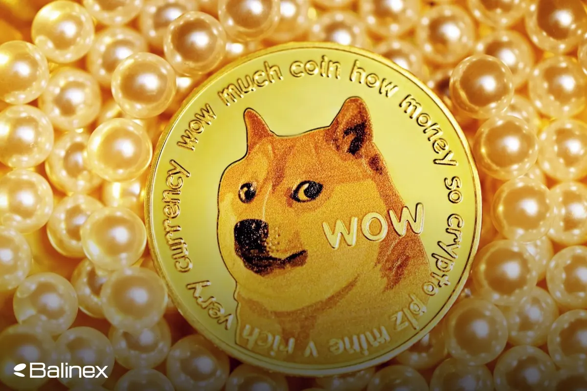 دوج کوین چیست؟ 0 تا 100 ارز Dogecoin