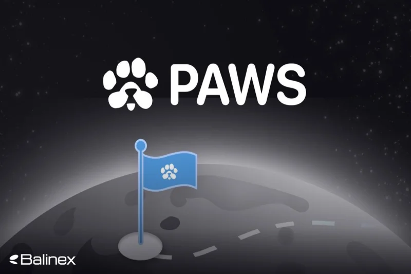 بررسی پروژه PAWS؛ آیا ایردراپ پاوز کلاهبرداری است؟