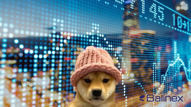 دامیننس داگ ویف هت