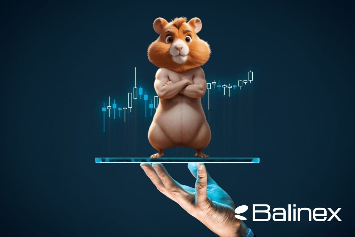 چه عواملی قیمت همستر کامبت را تعیین می‌کند؟