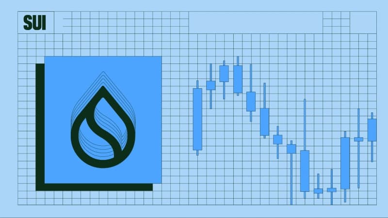 عوامل مختلفی قیمت سویی را تعیین می کنند.