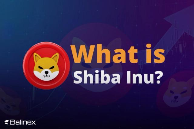 شیبا چگونه کار می کند؟ بررسی کامل میم کوین پرطرفدار SHIB!