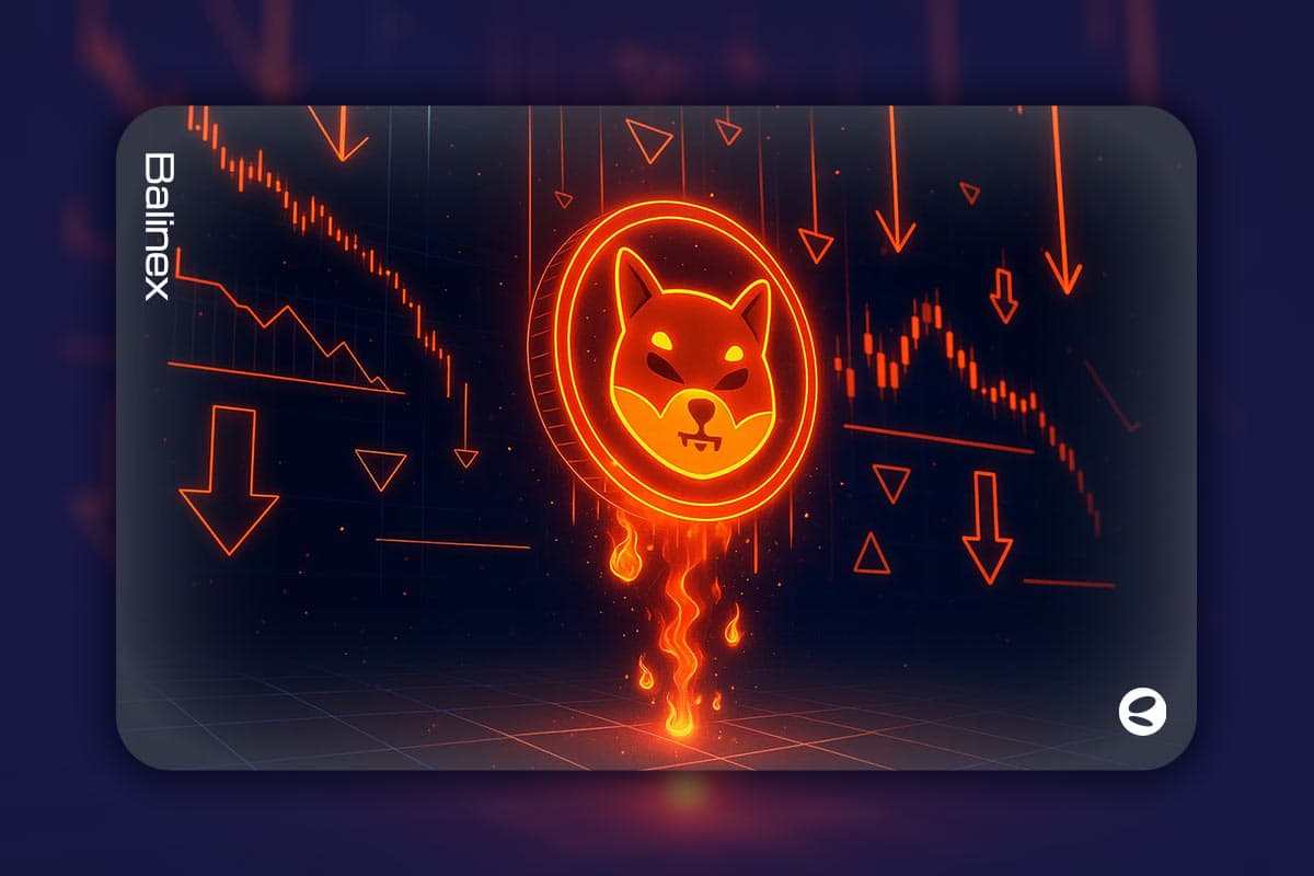 افت شدید قیمت شیبا اینو | رسیدن به کمترین سطح از دسامبر سال گذشته!