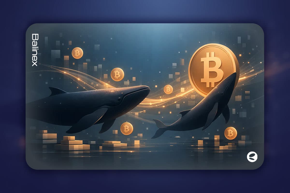 با وجود عملکرد بهتر بازار سهام، چرا نهنگ ها همچنان بیت کوین میخرند؟