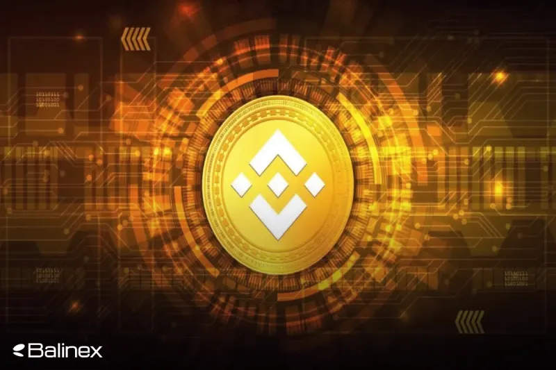 تحلیل تکنیکال بایننس کوین امروز 29 دی؛ بررسی روند حرکتی BNB