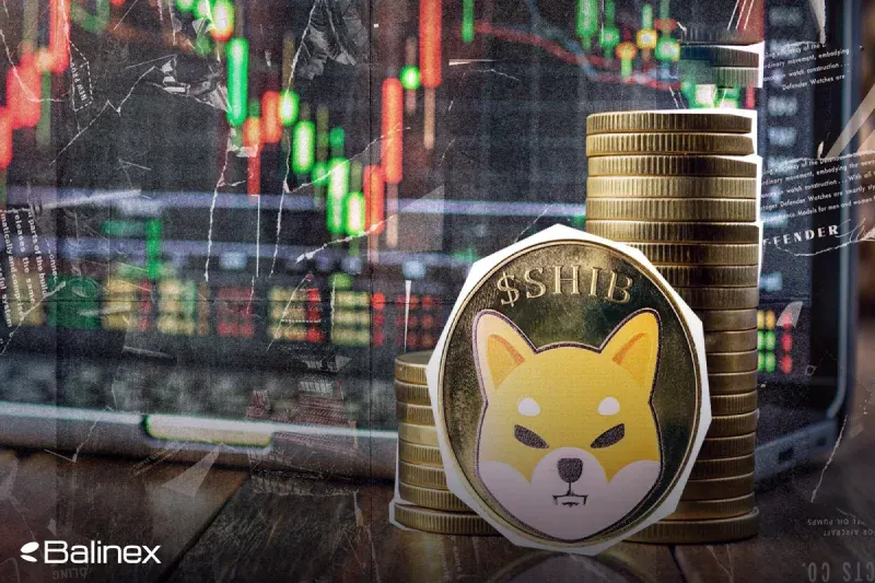 تحلیل تکنیکال شیبا امروز ۲۳ بهمن؛ آیا SHIB آماده انفجار قیمتی است؟
