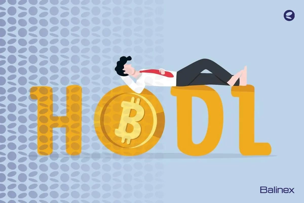 هولدر ارز دیجیتال کیست؟ + بهترین ارزها برای HODL ارز دیجیتال