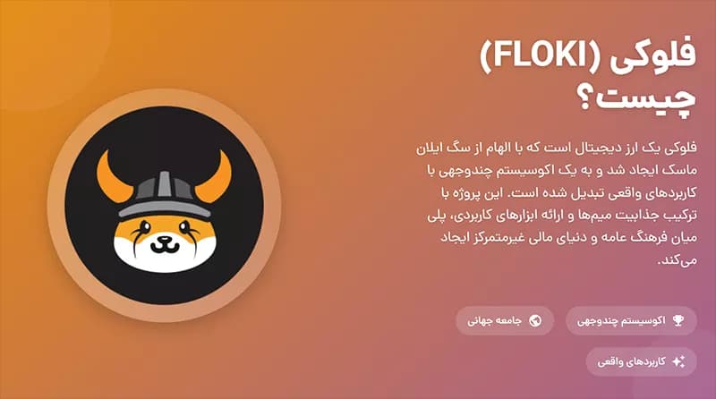 فلوکی چیست