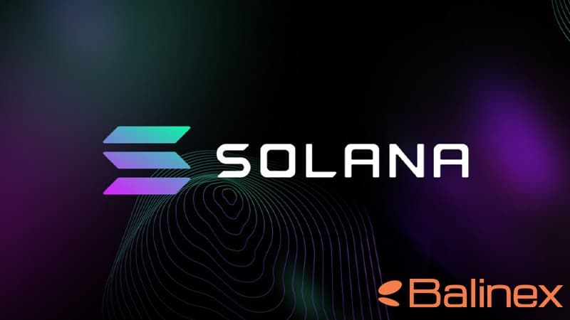 سولانا به عنوان رقیب ICP