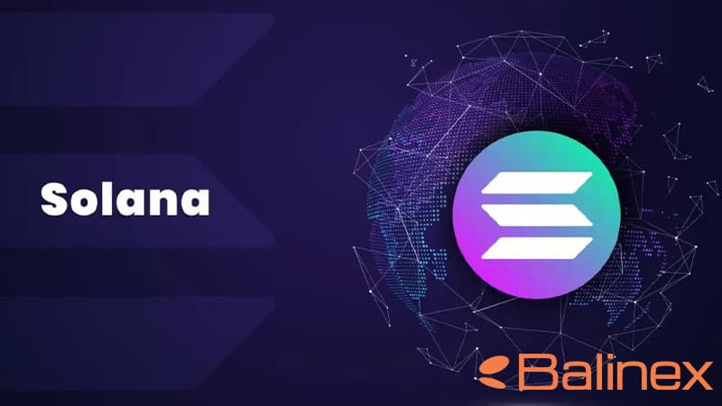 شبکه سولانا، میزبان حوزه دیفای