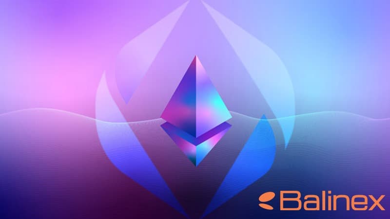 اتریوم نیم سرویس به عنوان بخشی از اکوسیستم اتریوم