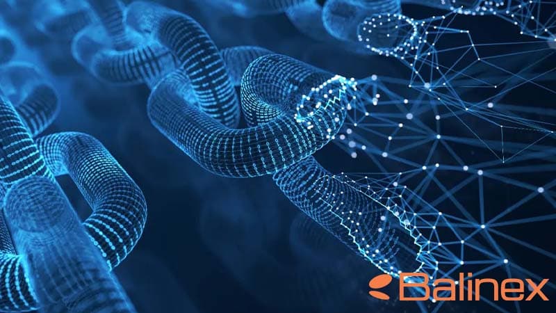 همکاری میان زنجیرهای، قابلیت کلیدی موومنت