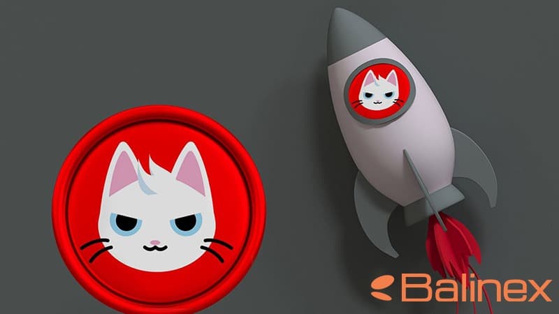 میو (MEW) چگونه کار میکند؟