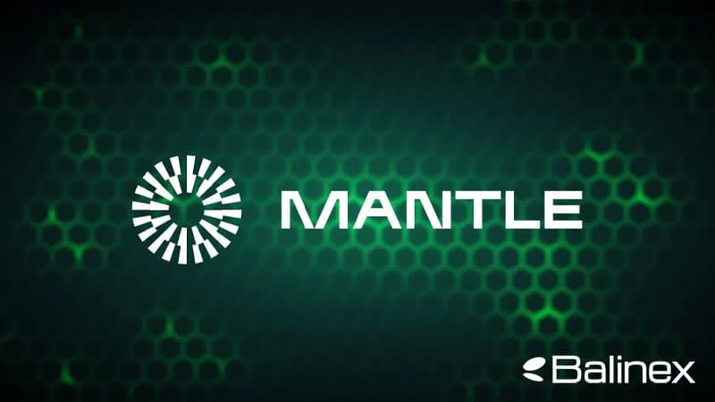 آینده ارز دیجیتال MNT