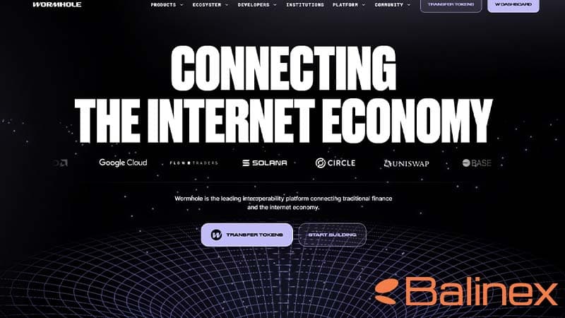 ویژگیهای اصلی ورم هول (W)