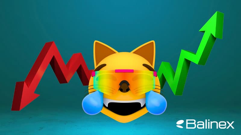 فاکتورهای موثر بر قیمت ماگ کوین