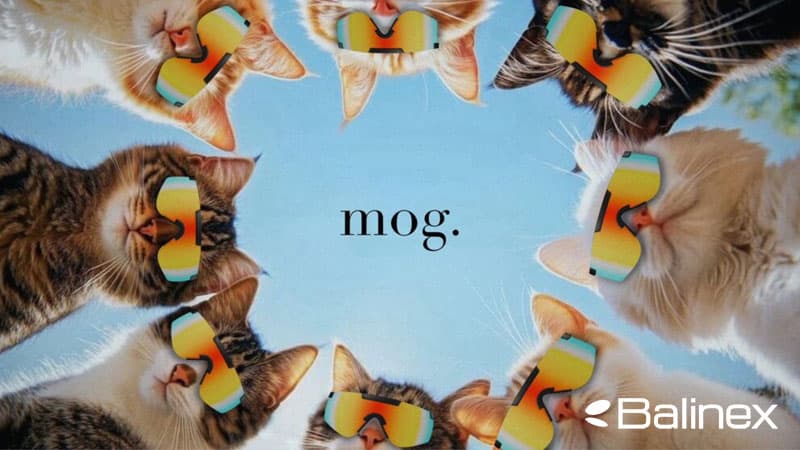 نحوه عملکرد ماگ کوین