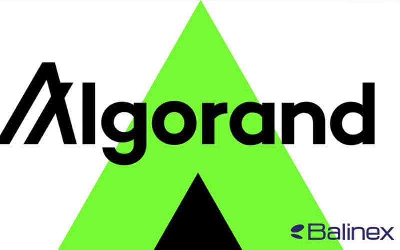 آینده ارز دیجیتال ALGO