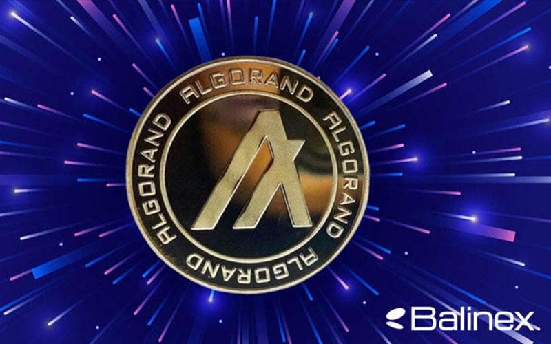 انواع روشهای خرید و فروش ارز الگوراند