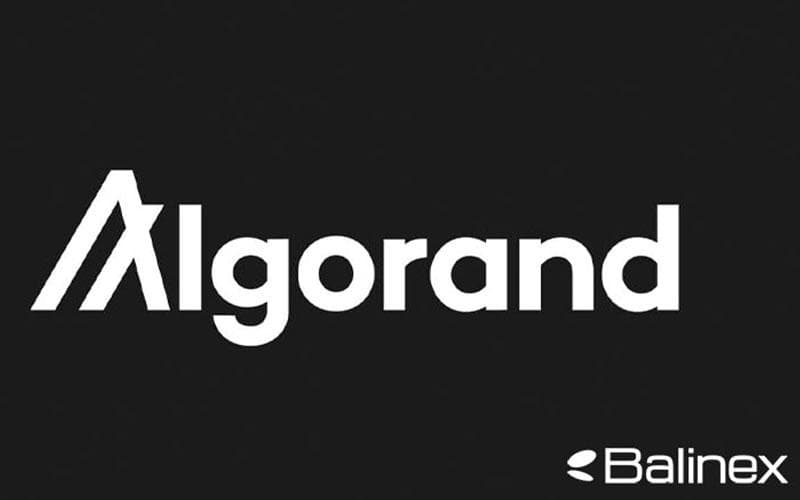 الگوراند چگونه کار می کند؟