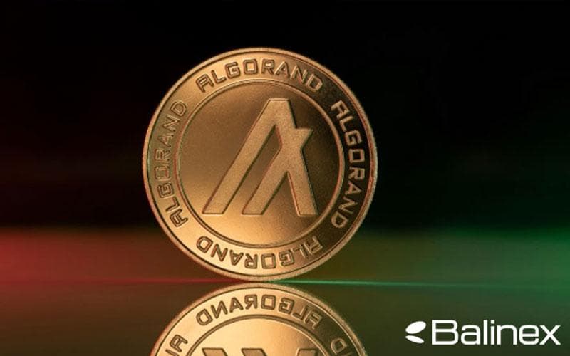 الگوراند چیست؟