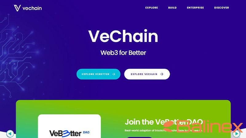 ویژگیهای اصلی وی چین