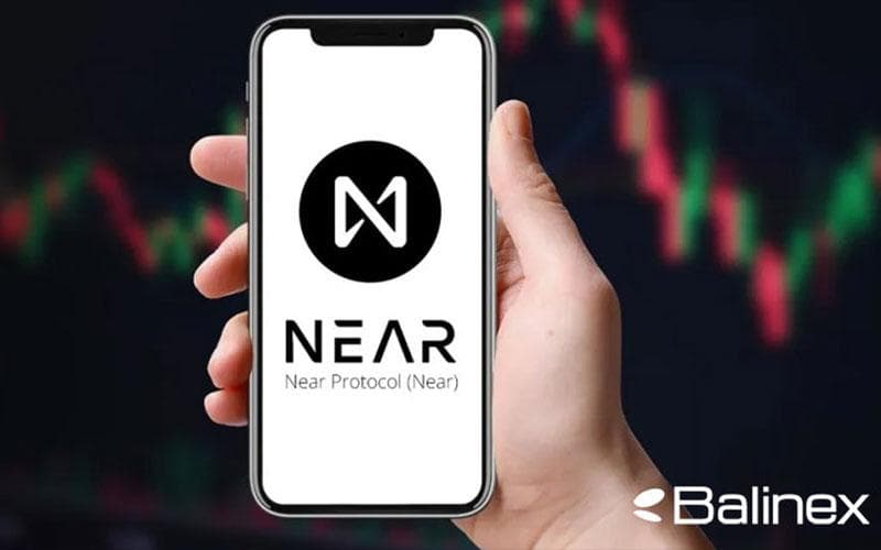 بررسی فاکتورهای موثر بر قیمت نیر پروتکل