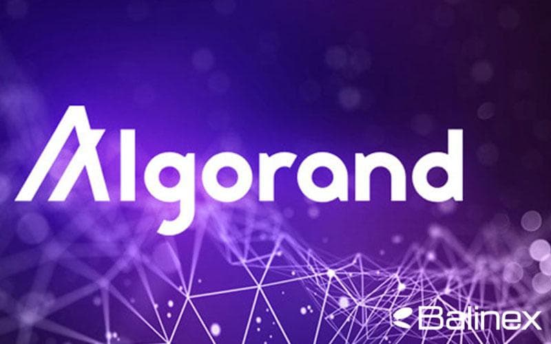 امنیت الگوراند چگونه تامین می شود؟