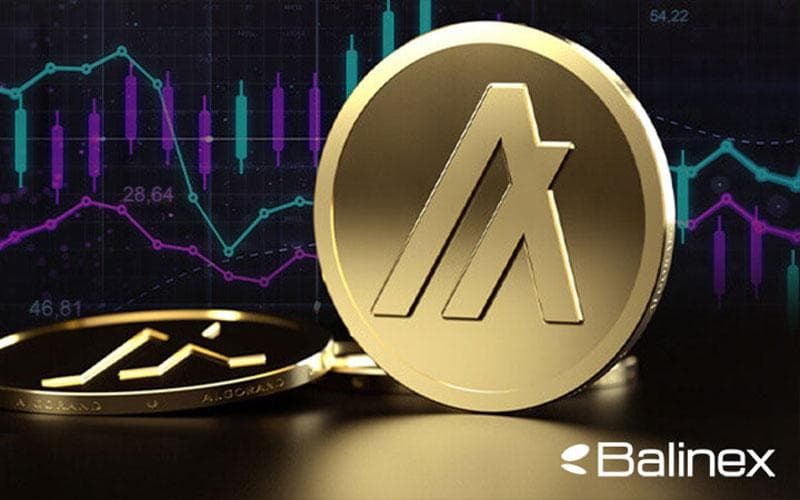 بررسی فاکتورهای موثر بر قیمت الگوراند