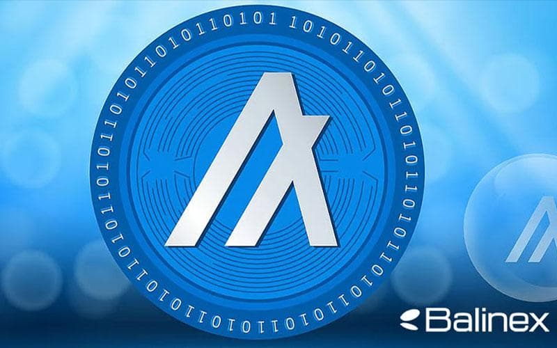 بهترین زمان خرید و فروش الگوراند