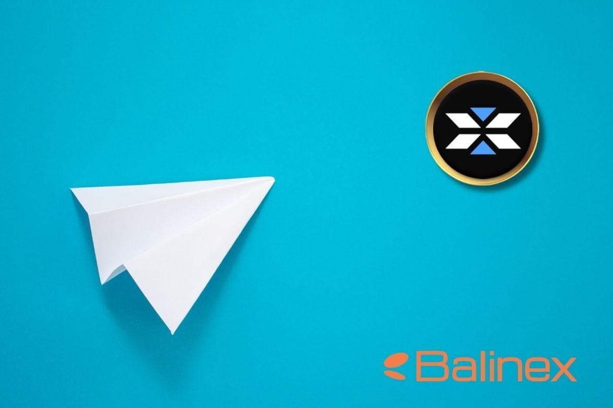 خالق و بنیانگذاران ایکس امپایر (X Empire)