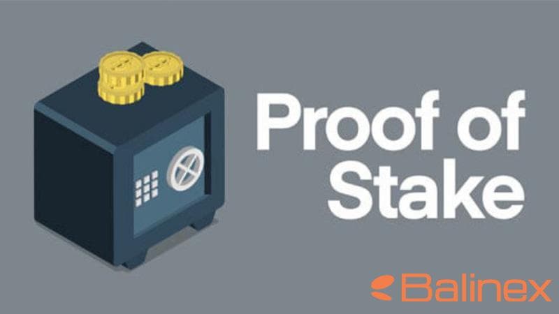 زتا چین (ZETA) چگونه کار میکند؟