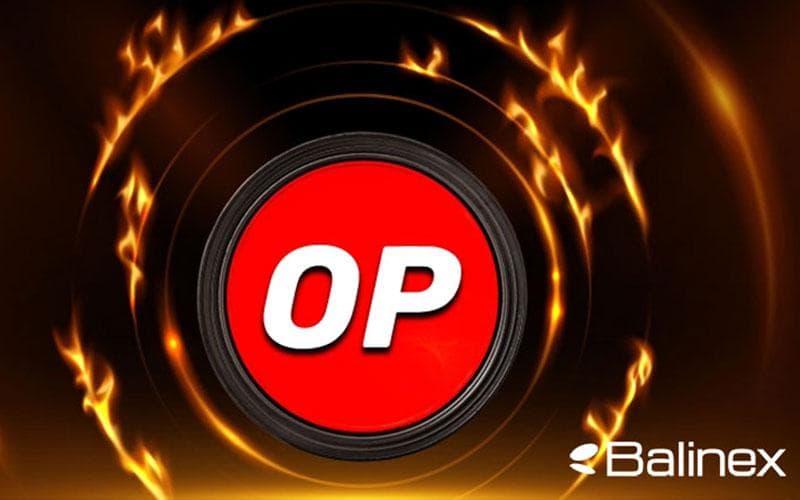 بررسی فاکتورهای موثر بر قیمت آپتیمیسم