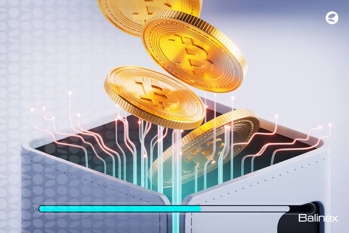 بازیابی بیت کوین های گمشده ممکن است؟ 0 تا 100 برگرداندن BTC گمشده