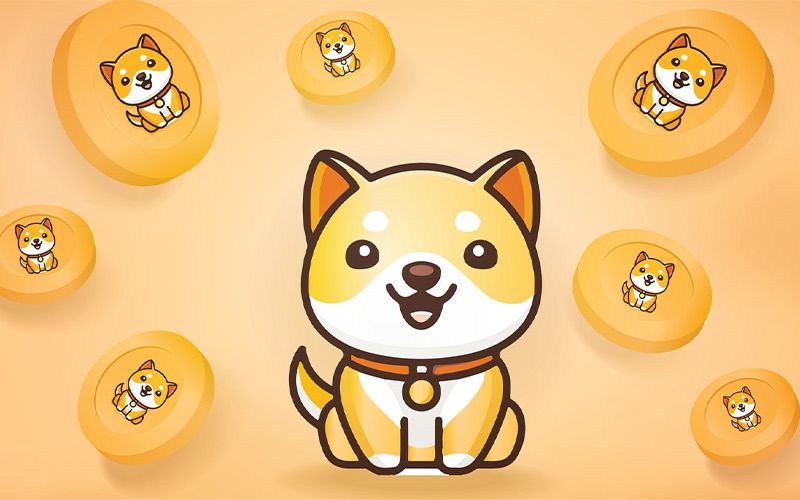 ویژگیهای ارز دیجیتال Baby Doge