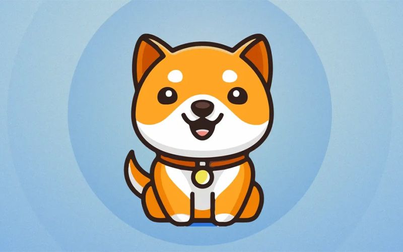 مزایا و معایب رمزارز Baby Doge