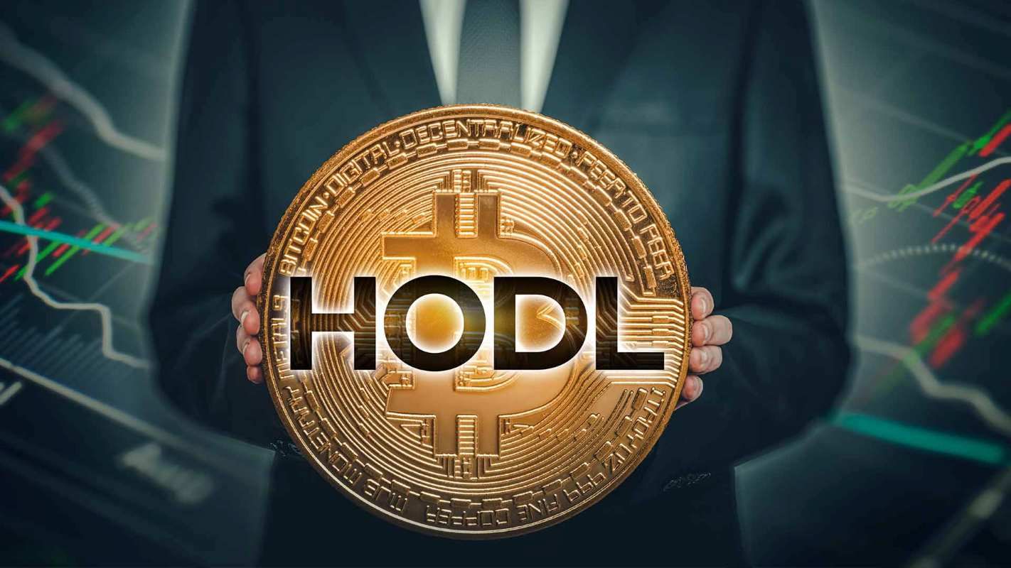 استراتژی هودل (HODL – نگهداری بلندمدت)