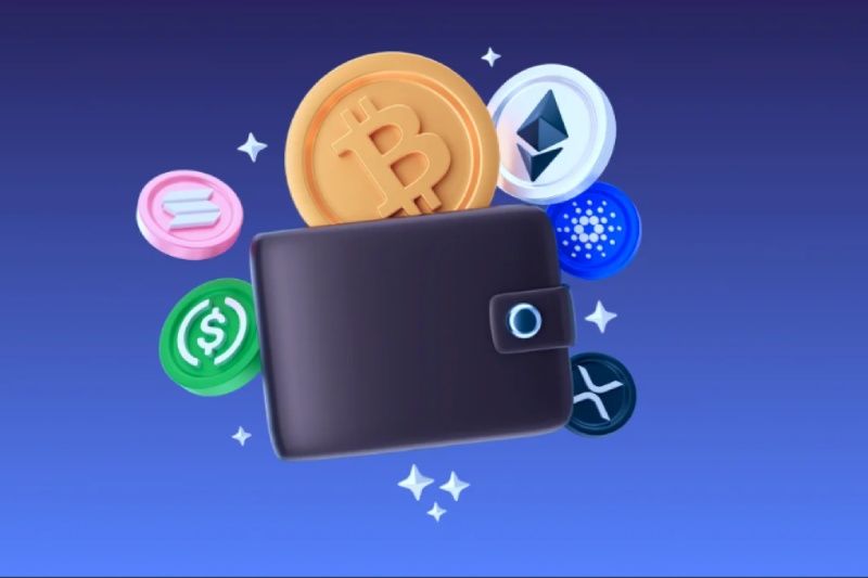 کیف پول ارز دیجیتال انواع مختلفی دارد.