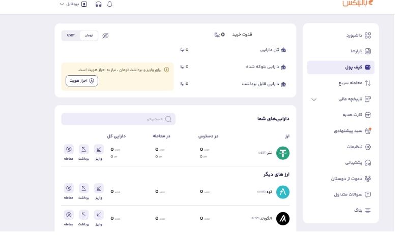 بخش مربوط به کیف پول و واریز وجه که پس از احراز هویت به نمایش در میآید.